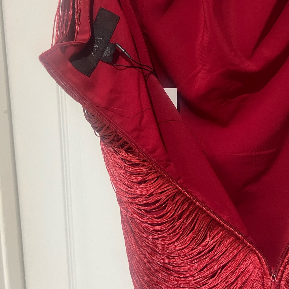 Zara Fringe Dress - Picture 6 of 9